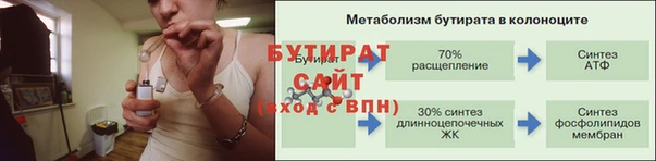 стаф Корсаков
