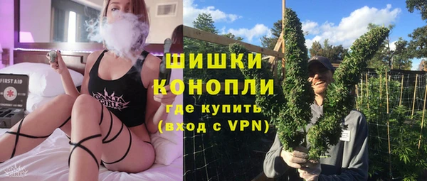 стаф Корсаков
