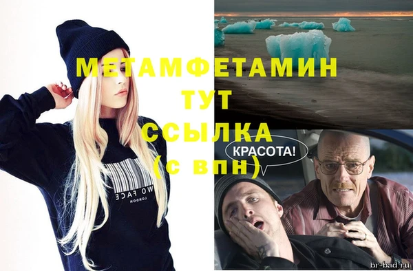 стаф Корсаков