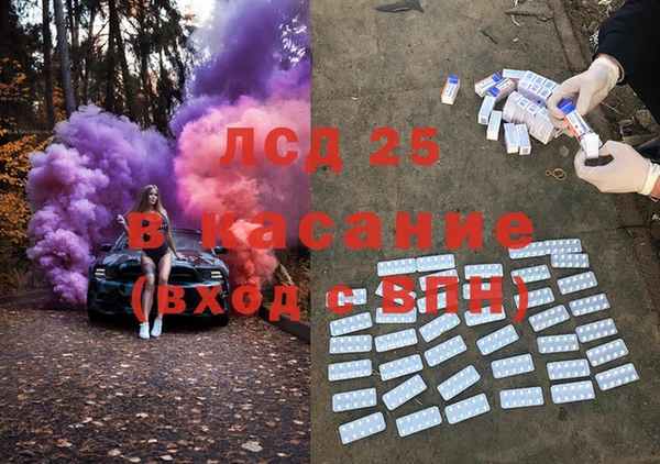 стаф Корсаков