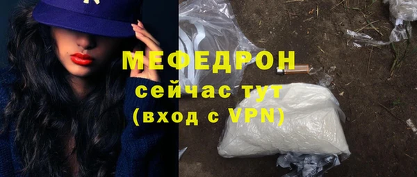 стаф Корсаков