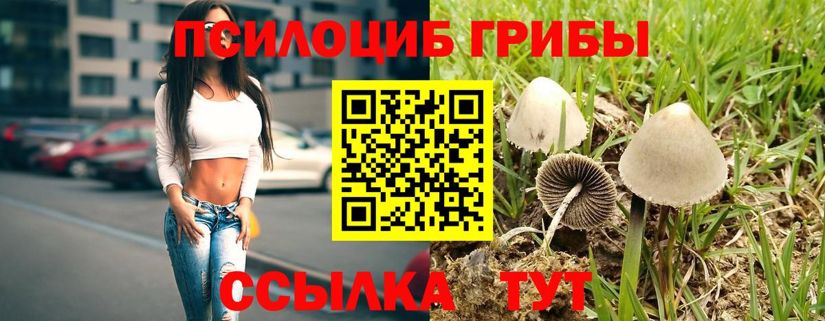Красногорск  Псилоцибиновые грибы мухоморы  Вход с VPN  Псилоцибиновые грибы ЛСД 