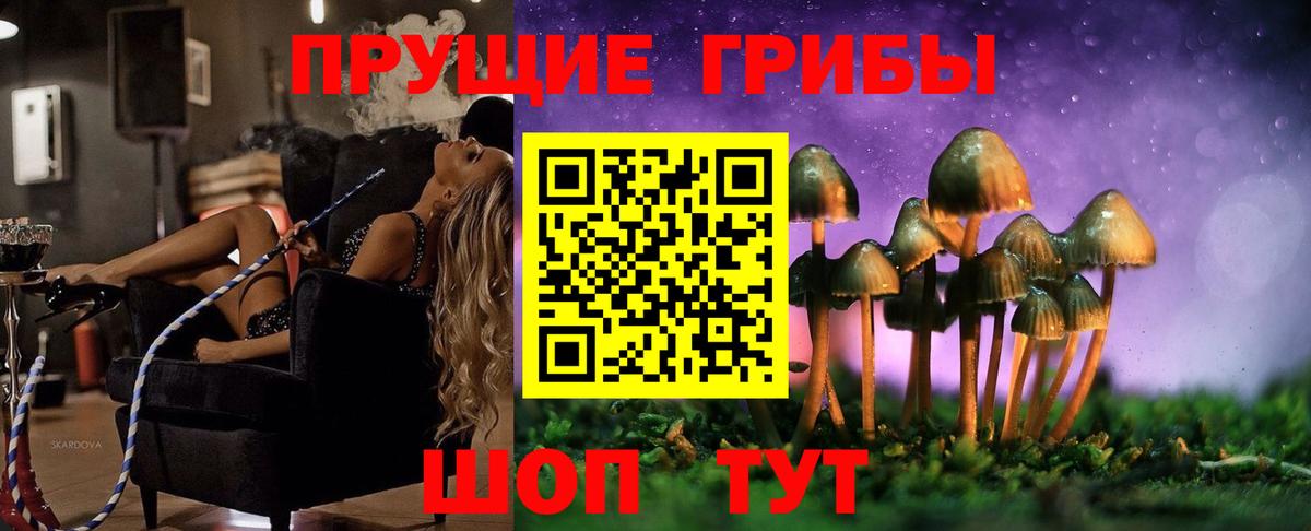 Псилоцибиновые грибы прущие грибы Красногорск